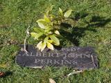 image of grave number 963296